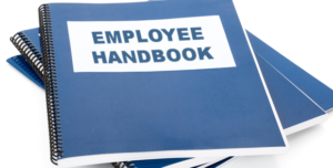 A stack of three blue employee handbooks